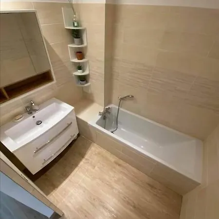 L'atelier Marin Sur Le Port Des Marines * Cogolin